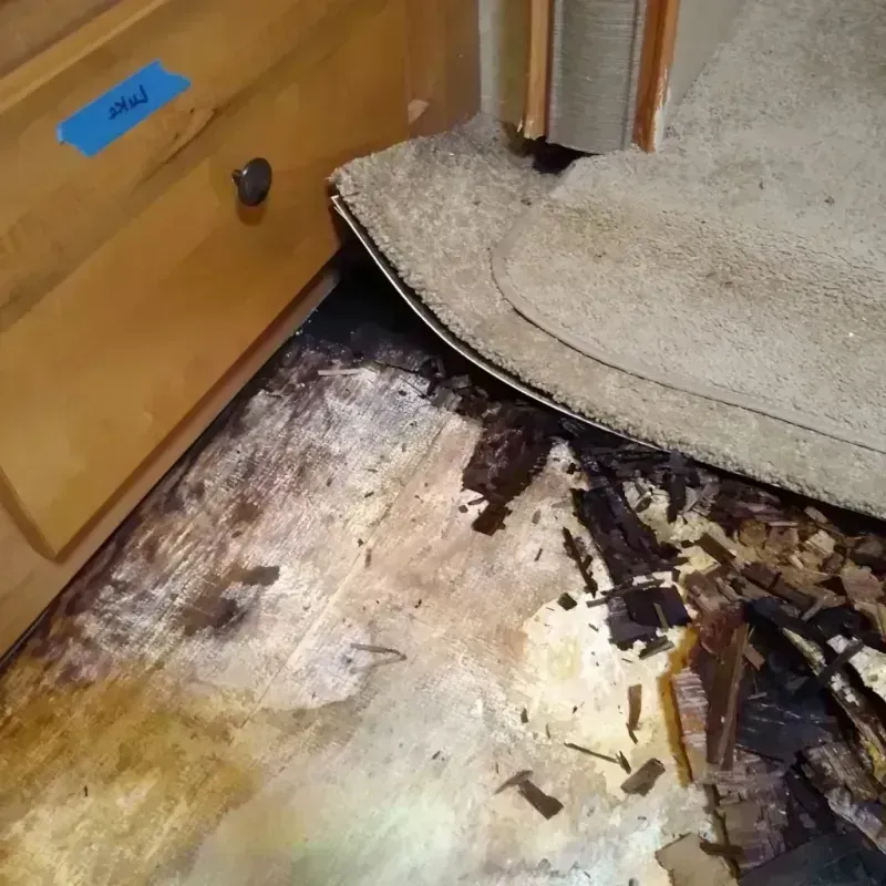 Wood Floor Water Damage in Woodland Hills, UT